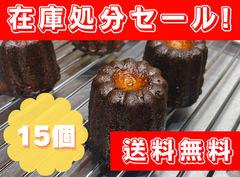 【訳あり激安】バラエティ１５個セット＊送料無料＊
