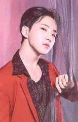 【中古】コレクションカード(男性) 44：SEVENTEEN/HOSHI(ホシ)/ノーマルカード/「SEVENTEEN CONCERT ＜POWER OF LOVE＞」トレーディングカード