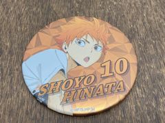 ハイキュー カラパレ より道 缶バッジ 日向翔陽 10個セット - メルカリ