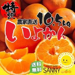 みかん 愛媛県産 特に訳あり いよかん 伊予柑 箱込10.5kg（10kg+保証分500g）（外皮の傷・シミ多め）（1月下旬～ご注文順に発送） ※沖縄・離島・北海道は発送不可