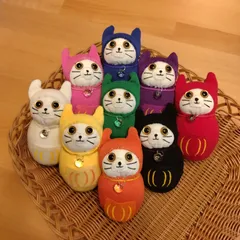 推し色猫だるまちゃん