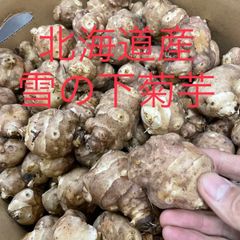 北海道産　菊芋1kg入　栽培期間中無肥料無農薬栽培