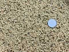 趣味の山野草【ウチョウランの土 5L】山野草 ウチョウラン