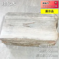 【希少品】　北海道　遠軽町瀬戸瀬産　特大　珪化木　パワーストーン　5.4k g 希少品】 北海道 遠軽町瀬戸瀬産 特大 珪化木 パワーストーン 5.4k g