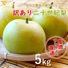 【訳あり】鳥取県産　二十世紀梨　5kg