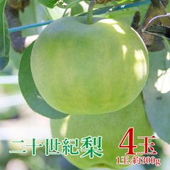【9月初旬より順次発送】 【 二十世紀梨 4玉 】 送料無料 鳥取県産 二十世紀梨 20世紀梨 1玉 約 300g 4玉入り 二十世紀ナシ 鳥取 ご家庭用 鳥取 鳥取県 梨 20世紀梨 なし ナシ 秀品 ご自宅用 果物 くだもの フルーツ ギフト 暑中見舞い