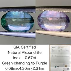 Item thumbnail for item 6446b018-97e8-4eb2-a69b-f33ad73659d7