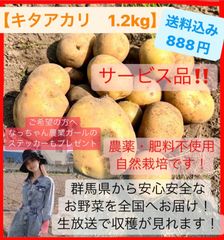 サービス品！キタアカリ【農薬、肥料不使用】なっちゃん野菜