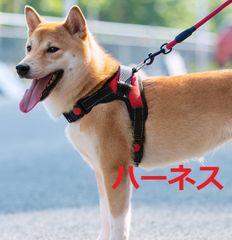 犬 ハーネス