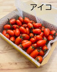 宮崎県産ひなたミニトマト　アイコ800g