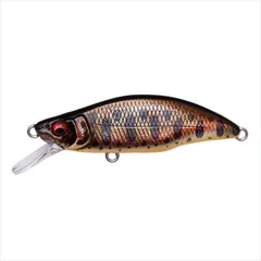 新品未使用 缶バド - ブラックフレーク :(MPB LURES 2025年最新】mpb ルアーの人気アイテム - メルカリ