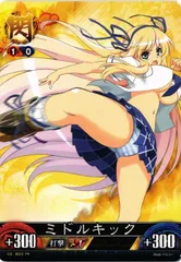 閃乱カグラ アンリミテッドヴァーサス （柳生） 箔押しサイン 水橋かおり 閃乱カグラ アンリミテッドヴァーサス （柳生） 箔押しサイン