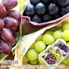 クイーンルージュ ナガノパープル シャインマスカット ぶどう3色 お中元 暑中お見舞い 残暑お見舞い [ルージュシャインナガパ] 冷蔵便 クール便