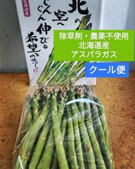 ★北海道産★農薬＆除草剤不使用　奇跡のグリーンアスパラガス1kg