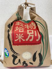 【令和5年産】福井県越前市産コシヒカリ 精米20キロ 特別栽培農産物