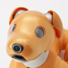 ソニー 2020年限定 aibo アイボ ペットロボット 犬 家電 キャラメルエディション【中古】
