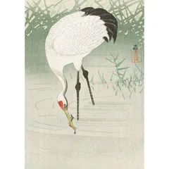 真作】中島佳香/双鶴図/鶴図/掛軸/名家伝来/AC-363