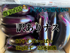 🧡訳あり商品🧡　おいしさそのまま
