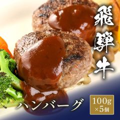 飛騨牛 牛100％ハンバーグ 100g x 5個