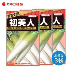ダイコン 種 ３袋セット 病気に強い 緻密な肉質でおいしい ス入りが遅い 初夏美人 青首大根 野菜の種 畑 カネコ種苗