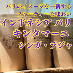 インドネシア バリ キンタマーニ 100g×1袋 新鮮厳選 炭火自家焙煎コーヒー豆 可愛い 猫柄 ねこのめ珈琲 ハンドピック済 お土産用にもどうぞ