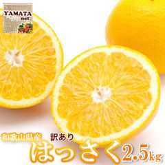 【予約】はっさく 八朔 お試し 和歌山県産 訳あり 八朔 はっさく 2.5kg