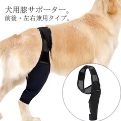 2024年最新】犬用膝サポーターの人気アイテム - メルカリ