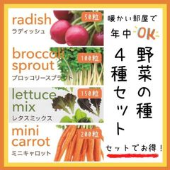 【野菜の種セット】年中栽培OK！野菜の種４種セット～キッチンガーデン