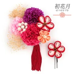 髪飾り 成人式 振袖 袴 2点セット 花 赤 ピンク 紫 ちりめん パールビーズ かすみそう 房 大きい 小さい 和装 大人可愛い 日本 No.12-0730
