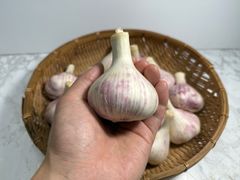 沖縄県産　島ニンニク　10キロ