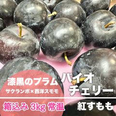 【常温便3kg】漆黒のプラム 山形県産 バイオチェリー 箱込み 3kg すもも