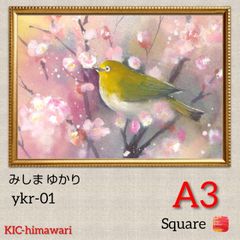 A3サイズ square【ykr-01】 ダイヤモンドアート