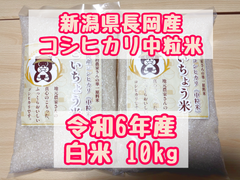 新潟県　長岡産　コシヒカリ（中粒米）10kg(5kg×2）