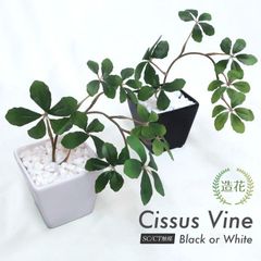 フェイクグリーン 観葉植物 人工観葉 卓上 ミニ 小さい 光触媒 フェイクグリーン造花 人工 シサス シュガーバイン 12cm 鉢植 インテリア リアル
