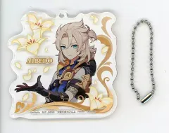 原神　アクリルプレートキーホルダー　稲妻登場 原神 アクリルプレートキーホルダー 稲妻登場 9種セット