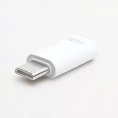 Lightning to Type-C 変換アダプタ ライトニング から USB C に変換できるアダプタ 高速充電 USB-C Android iPhone15 急速充電 データ転送 iPad type c USB C タイプC イヤホン・アク [ホワイト]