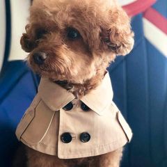 ケープトレンチ 犬服 犬用ケープ ペット服 ペットウェア トレンチ スタイ 小型犬服