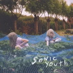 2025年最新】sonic youth ステッカーの人気アイテム - メルカリ