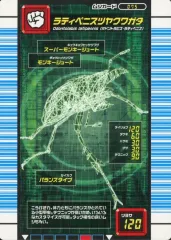 2025年最新】ラティペニスツヤクワガタの人気アイテム - メルカリ