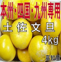 【家庭用】土佐文旦約４ｋｇ