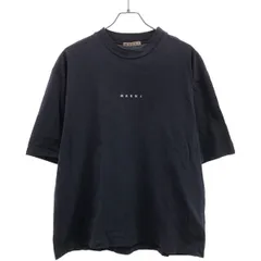 希少 MARNI Tシャツ 46サイズ フラミニア・ヴェロネージ 希少 MARNI Tシャツ 46サイズ フラミニア・ヴェロネージ