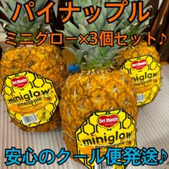 デルモンテ　パイナップル　ミニグロー　miniglow　フィリピン産