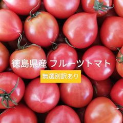 徳島県産フルーツトマト 無選別1kg 訳あり 送料無料とまと玉葱たまねぎオニオン