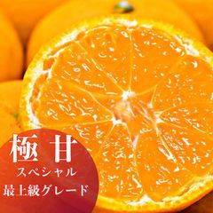 愛媛産　スペシャルみかん　濃厚な小玉　最上級グレード3kg