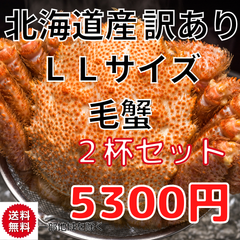 訳あり！　北海道産　冷凍毛蟹　410g~450g　2尾セット　けがに　かに