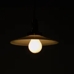 緑の電笠：当時もの 楽天市場】縁のフリルガラスランプシェード 0140レトロ 電傘 電