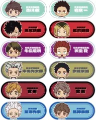 【中古】バッジ・ビンズ 全12種セット 「ハイキュー!! トレーディング ちょこんと！ アクリルネームプレート ver.B」