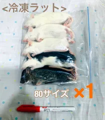 2023年最新】冷凍ラットの人気アイテム - メルカリ