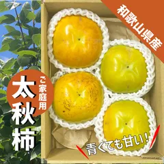 2025年最新】太秋柿の人気アイテム - メルカリ