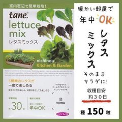 【野菜の種】年中栽培OK「レタスミックス」約３０日～収穫　キッチンガーデン